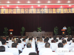 立瀾能源打造光伏小鎮(zhèn)，助力鄉(xiāng)村振興（系列一）