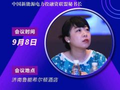 2020戶用大會丨彭澎 中國新能源電力投融資聯(lián)盟秘書長
