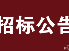 招標(biāo) | 1.79億！氫燃料車重大招標(biāo)！