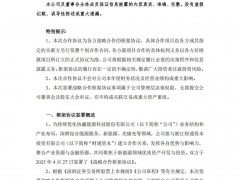 聚焦于新能源領(lǐng)域優(yōu)質(zhì)資產(chǎn)開發(fā)與投資！協(xié)鑫能科與專業(yè)投資機(jī)構(gòu)簽署戰(zhàn)略合作框架協(xié)議