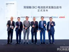 愛旭隆基煉成光伏“回春丹”，BC技術(shù)頂峰相見