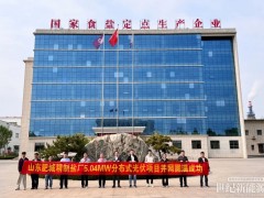 5.04MW微逆BIPV項目并網(wǎng)！昱能科技助力制鹽業(yè)綠色低碳轉(zhuǎn)型